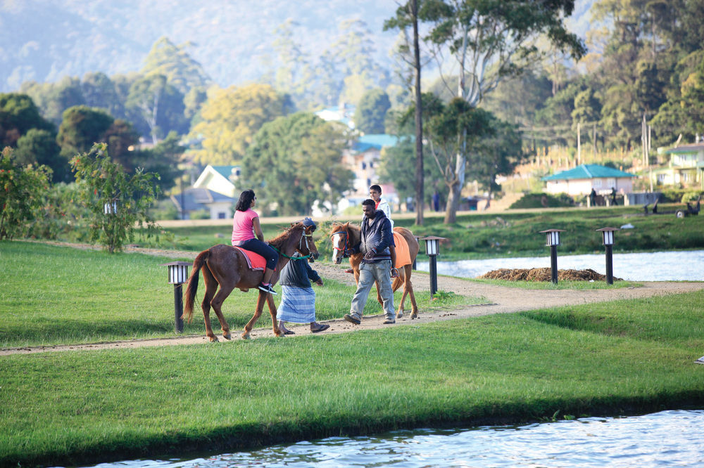 Queenswood Cottage Nuwara Eliya Dış mekan fotoğraf